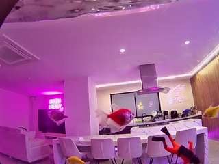 voyeurcam casa salsa fishtank